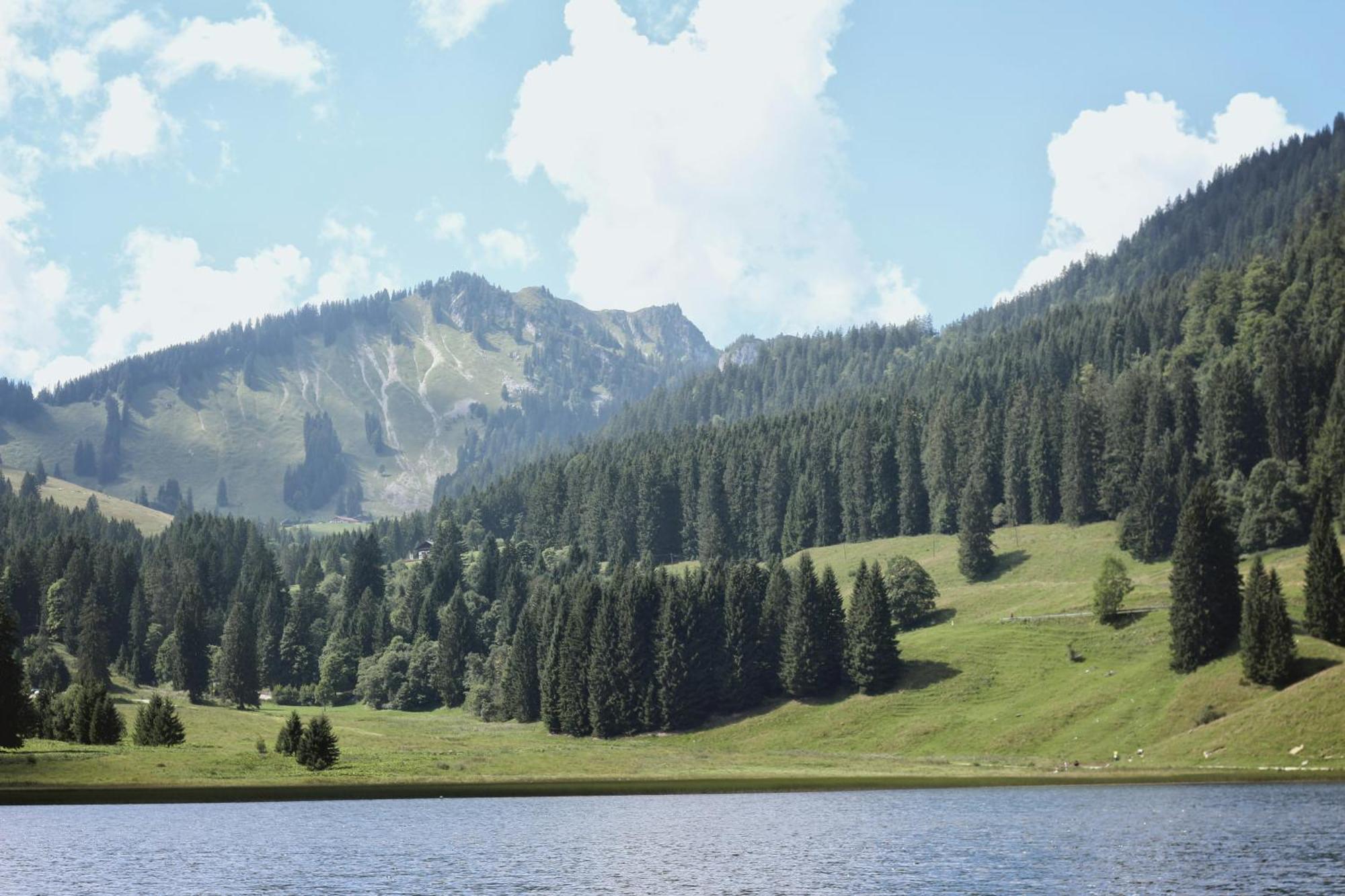 Ferienwohnung "Seeruhe" - Berge, See Und Natur Am Spitzingsee Schliersee Eksteriør bilde